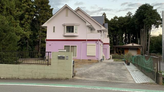 PETITANGE Cattery ( プティタンジュ キャッテリー )