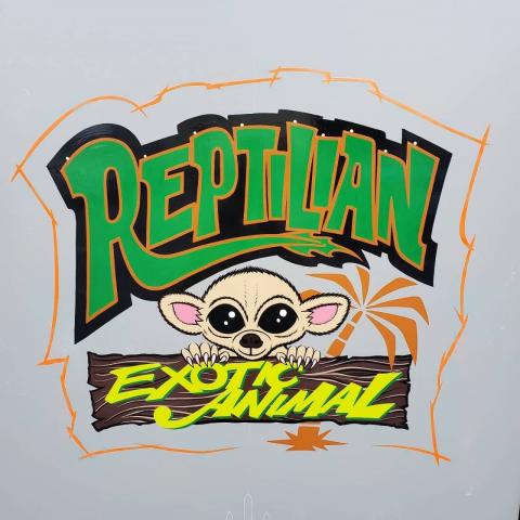 Exotic Animal Reptilian 