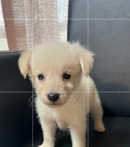 MIX