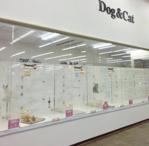 NICO PET select ラブウォーク鹿沼店