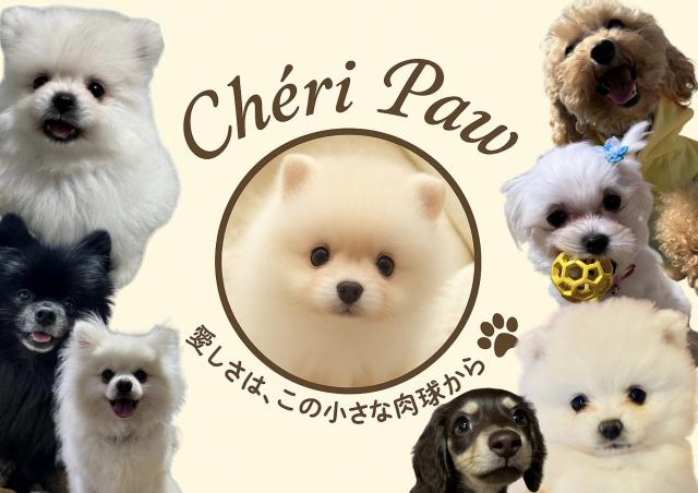 エンジェルハウスChéri Paw