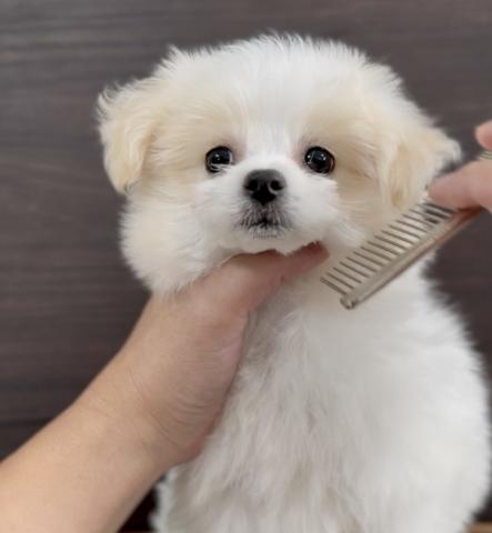 MIX♡Neiro♡マルチワ