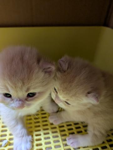 どんどん可愛く成長しています。