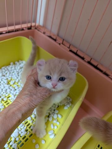 どんどん可愛く成長しています。