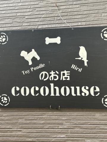 cocohouse