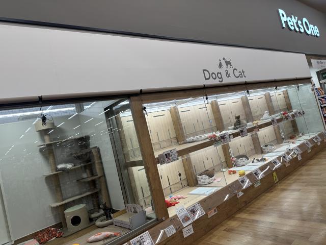 ペッツワン名古屋大高インター店