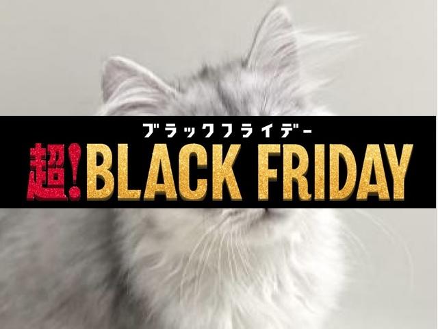 ミヌエット（旧ナポレオン）【足長】定番のチンチラシルバー色💕