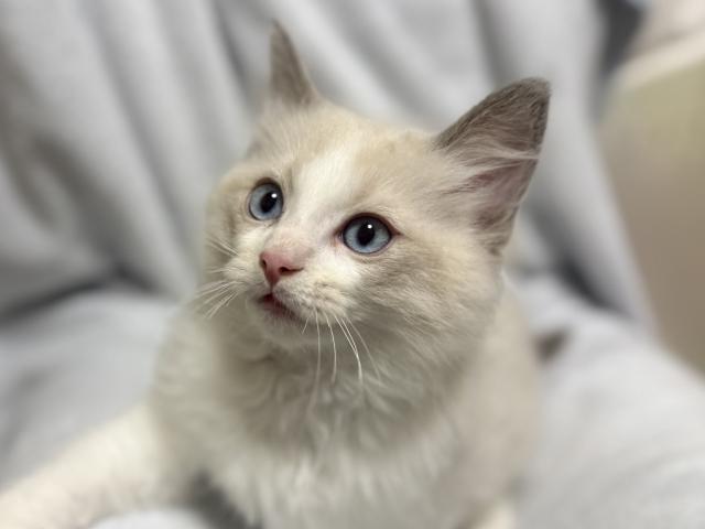 ママの過保護💕そっちのけ😊可愛こちゃん