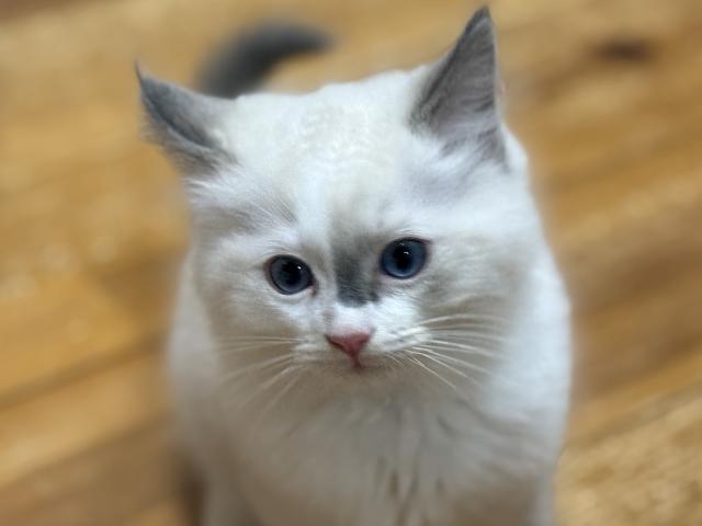 ママの過保護💕そっちのけ😊可愛こちゃん