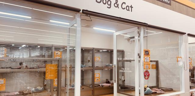 ディスワン熊谷小島店