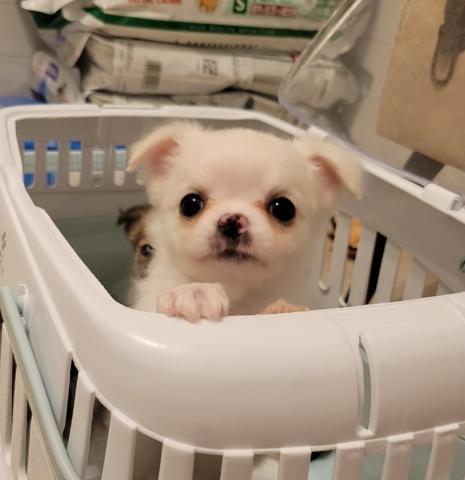 めちゃくちゃ可愛くなる💕