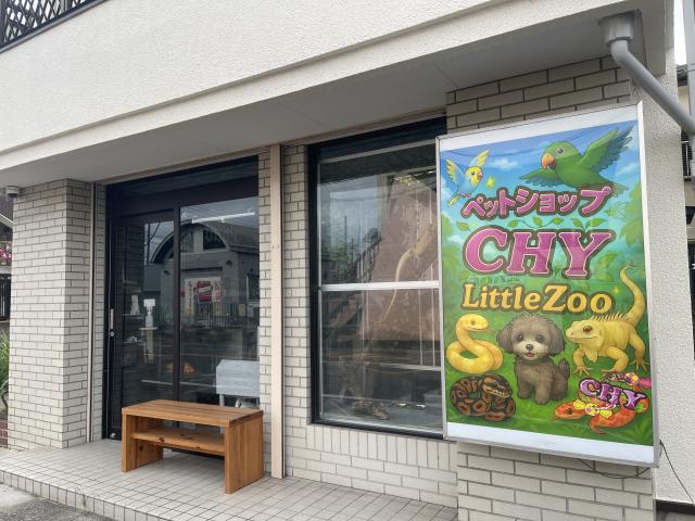 ペットショップ　CHY Little Zoo