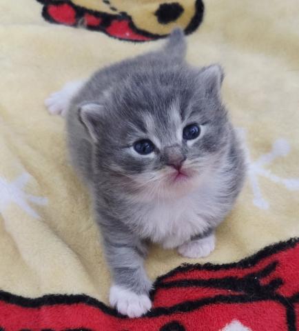 かわいすぎませんか😆