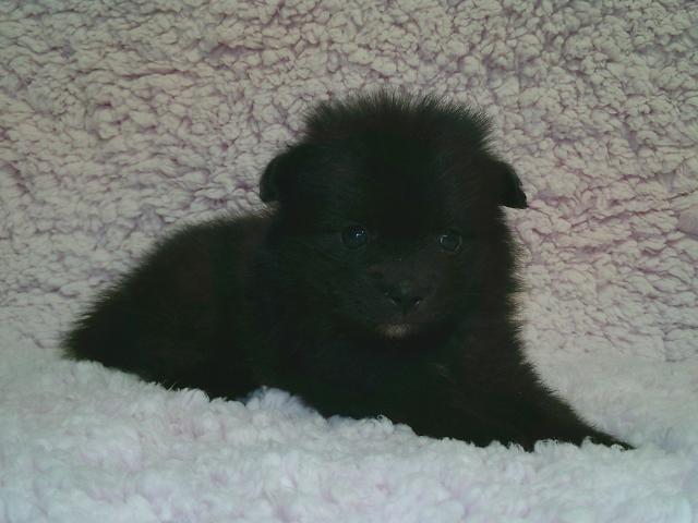 可愛い男の子です。