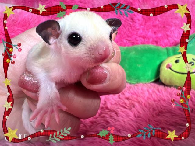 可愛い過ぎてキュン💓キュン💓