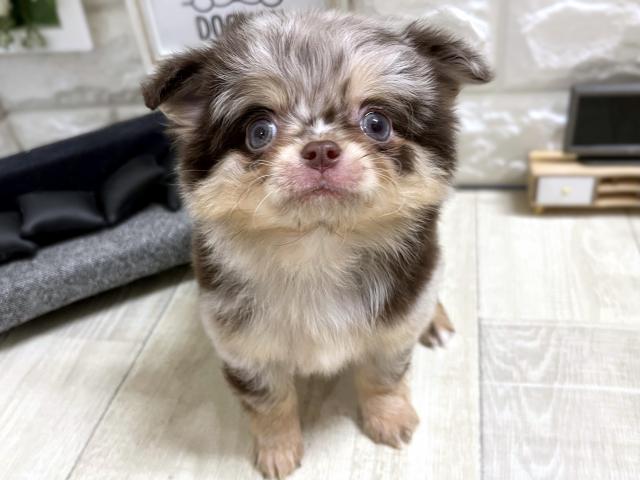 ☆60日間医療補償をお付けする事ができます☆