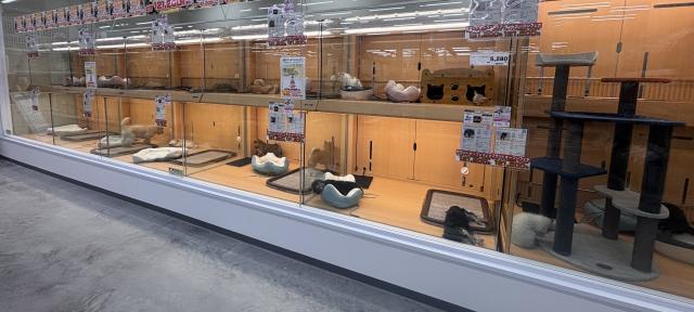 ペットアミ黒埼店