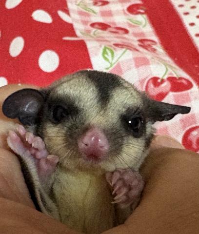 年末年始セール開催中‼️