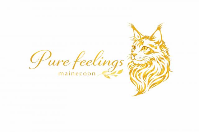 Cattery Pure Feelings