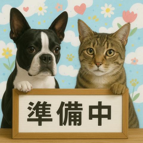 ミニチュアダックスフンド