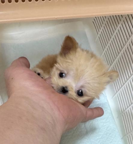 MIX❤️めっちゃ可愛いボクちゃん❤️