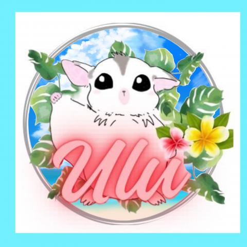 Ulu(ウル)フクロモモンガブリーダー