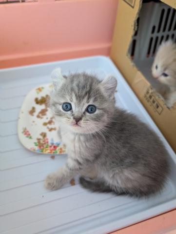 かみ合わせが少しずれています。