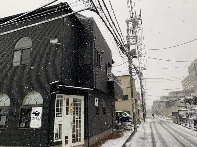 ぺっとさろんわん