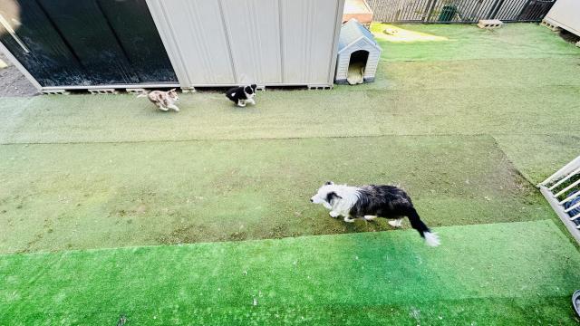 ボーダーパーク