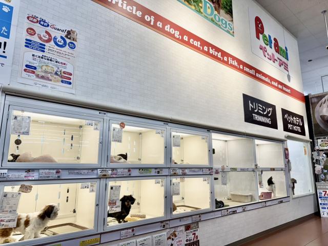 ペットアミ小千谷店