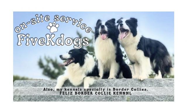Five K dogs