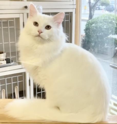 トロける程の甘えん坊