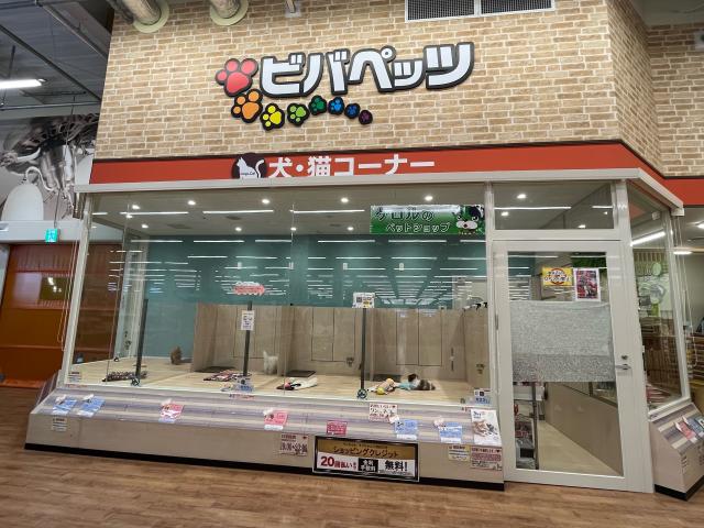 ビバペッツ福岡東店