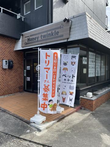 Honey twinkle知多店