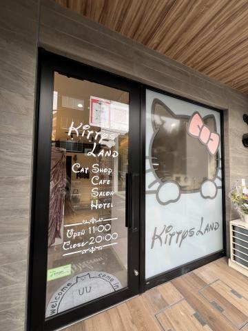 KittysLand