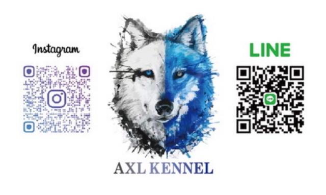 AXL KENNEL (ｱｸｾﾙｹﾈﾙ)