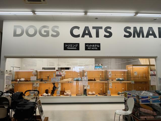 ペットアミ宮野店