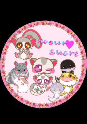 Amour♡sucre