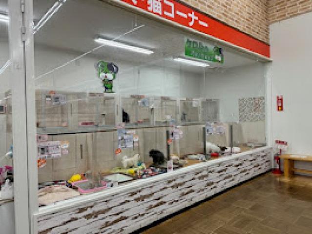 ビバペッツ座間店