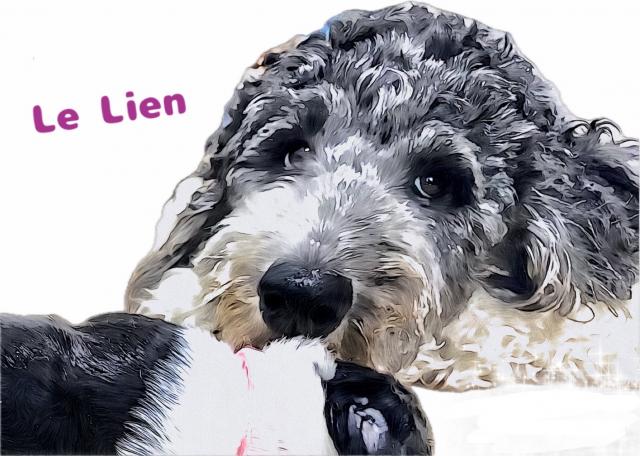 Le Lien（ルリアン）