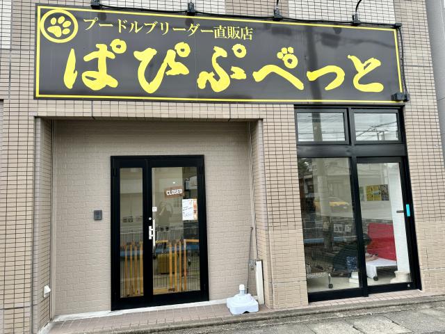 ぱぴぷぺっと福岡店
