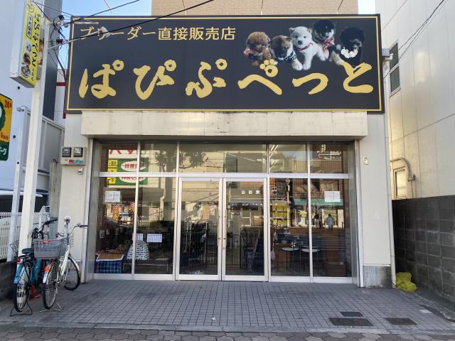 ぱぴぷぺっと大阪店