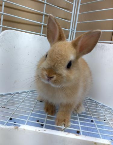 人懐っこいです♪
