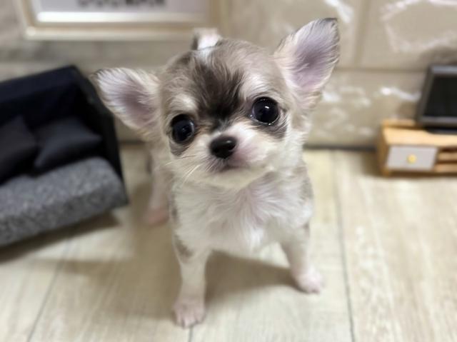 ☆60日間医療補償をお付けする事ができます☆