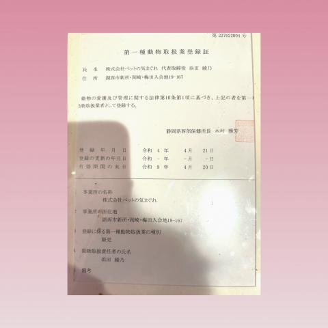ペットの気まぐれ