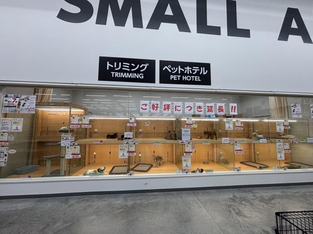 ペットアミ弘前店