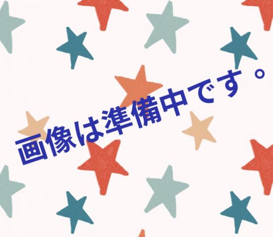 MIXチワックスMIX犬✨リクエストにお応えし値下げしました✨諸経費コミコミ最終特価‼️これ以上は下がりません✨素敵な飼い主さん募集中✨