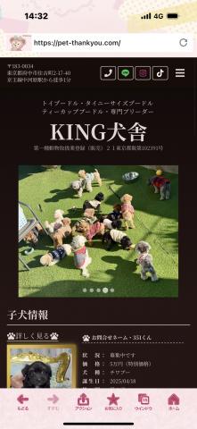KING犬舎