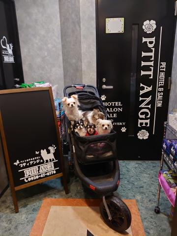 プティアンジュ
