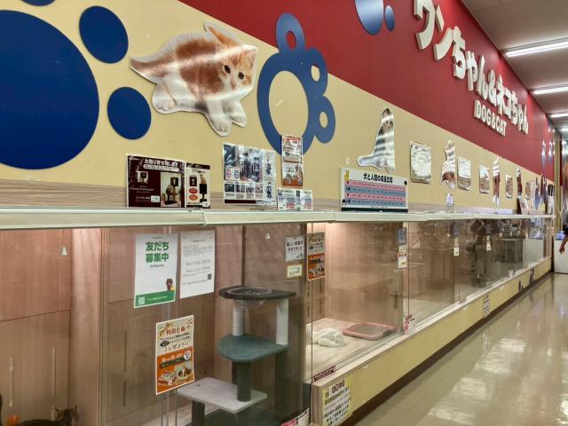 OneBuddy大津店